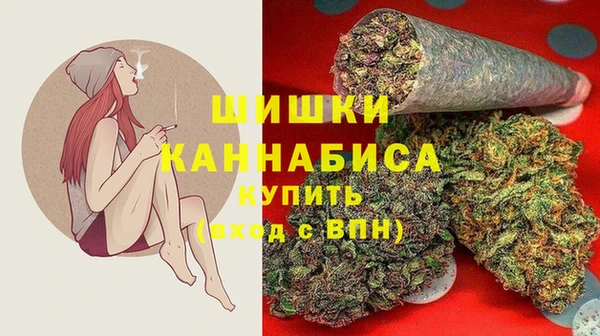 бошки Осинники