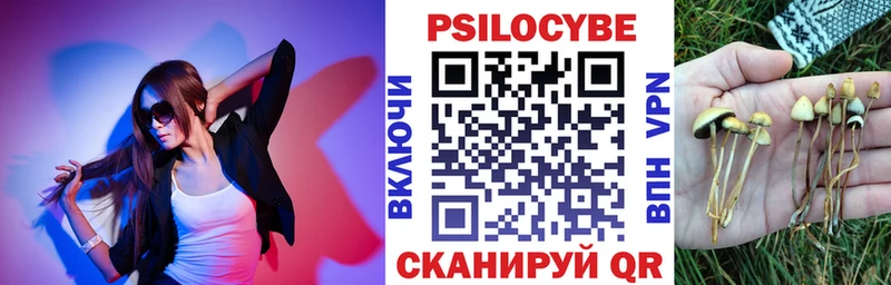 цены   Петровск  Псилоцибиновые грибы MAGIC MUSHROOMS 