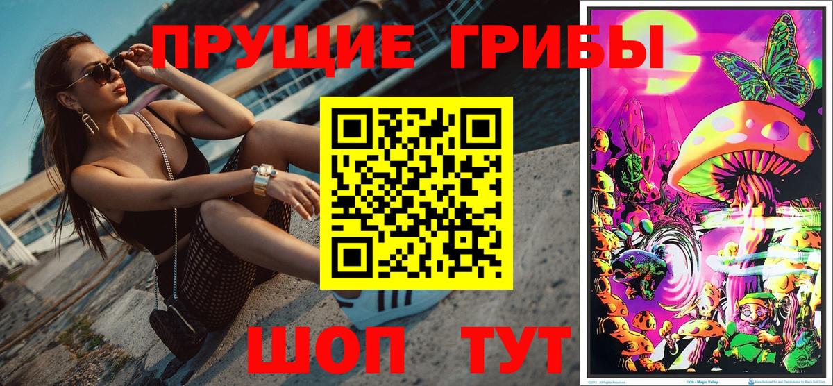 Галлюциногенные грибы GOLDEN TEACHER  Петровск 