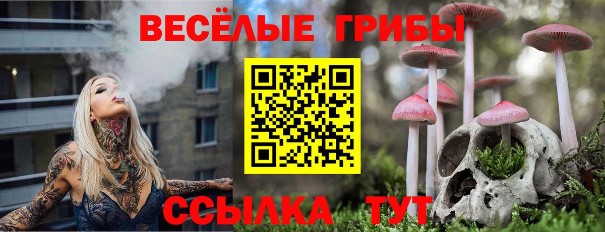 Галлюциногенные грибы прущие грибы  Псилоцибиновые грибы ЛСД  где купить наркоту  Петровск  Вход с VPN 
